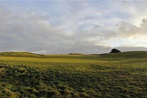 New Time Team dig at Sutton Hoo